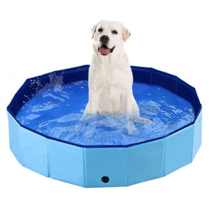 PAWISE Collapsible Swimming Pool