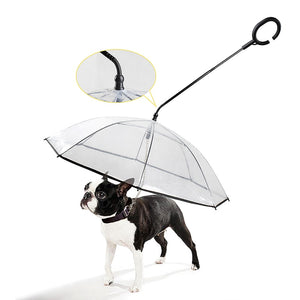 Telescopic Clear Pet Umbrella